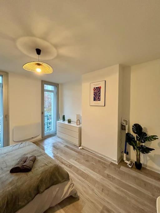 Appartement Le Douillet, Proche Gare Et Metro Toulouse